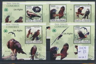 Gx02085 Comoros 2009 Animals Fauna Flora Birds Sheets Mnh Cv 7,  5 Eur