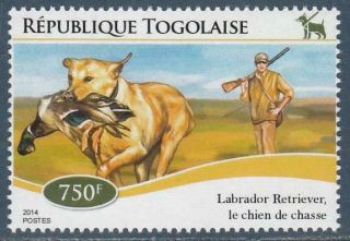 Labrador Retriever Dogs Togo Mnh Stamp 2014a