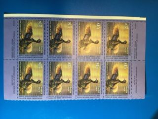 2001 Molted Duck Duck Stamps Set Of 8