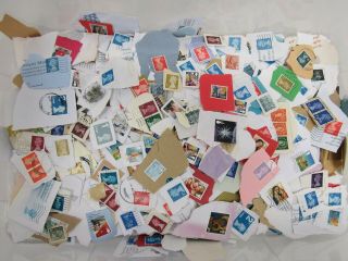Unsorted 5 Kg Plus Charity Stamps Mainly Uk Franked - Sal Sc10