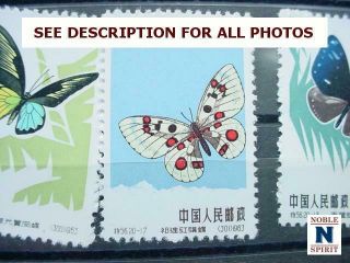 NobleSpirit Stunning China PRC Nos.  661 - 680 MNH Butterflies =$362 CV 11