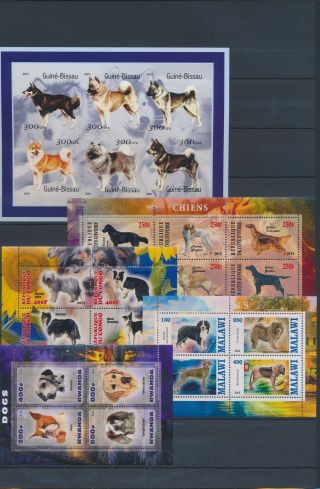 Ab3 - 2578 World Pets Animals Fauna Dogs Good Sheets Mnh