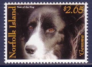 Border Collie Dogs Norfolk Island Mnh Stamp