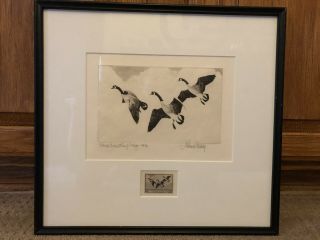 Rw3 Full Sized Print 1936 Federal Duck Stamp Signed By Richard Bishop W/ Stamp