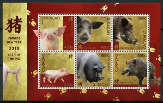 Curacao 2019 Mnh Year Of Pig 6v M/s Pigs Chinese Lunar Year Stamps