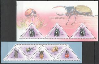 Bc259 2011 Guinea Flora & Fauna Insects Les Coleopteres Bugs 2kb Mnh