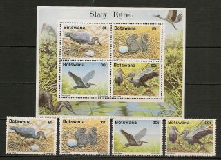 Botswana 1989 Wildlife Fauna Birds Vögel Oiseaux Egret Compl.  Set,  Ms Mnh