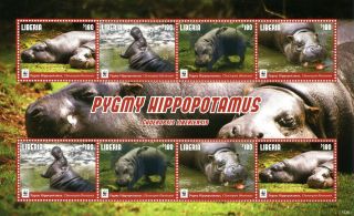 Liberia 2016 Mnh Pygmy Hippopotamus Wwf 8v M/s Wild Animals Stamps