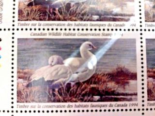 Canada 1994 Wildlife Habitat Conservation Duck Stamp Sheet of 16 (MNH) 2