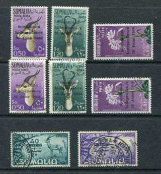 Somalia 1950 - 60 Independence Mnh Lot 8 Stamps Scott $208