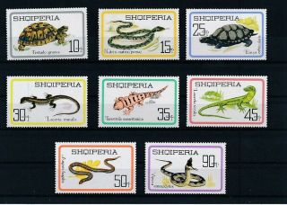 D275975 Reptiles Mnh Albania