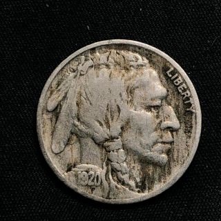 1920 - S U.  S.  Buffalo Nickel (vf, )