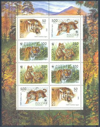 Russia 1993 Fauna.  Wwf.  Tigers,  Mini Sheet,  Mnh
