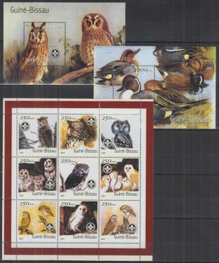 Z684.  Guinea - Bissau - Mnh - Nature - Birds - Owls - Ducks - Scouts