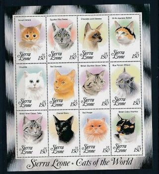 D278489 Cats Of The World S/s Mnh Sierra Leone