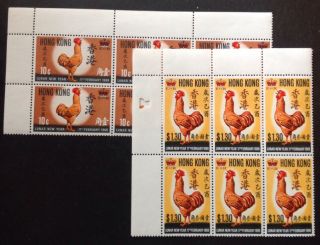 Hong Kong 1969 Year Of The Cock Set In Blocks Of 6 Stamps With Margins Mnh