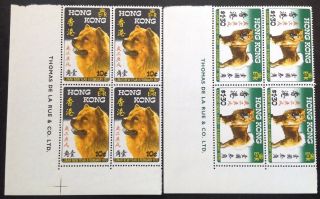Hong Kong 1970 Year Of The Dog Set In Blocks Of 4 Stamps With Margins Mnh