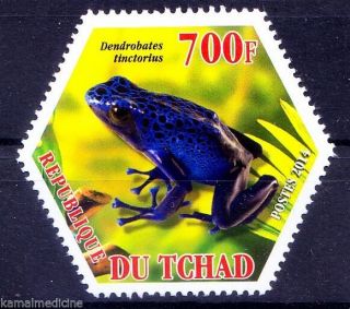 Dyeing Poison Frogs,  Unusual Odd Hexagon Shape,  Tchad 2014 Mnh (k120)
