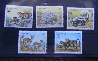Lesotho 1977 Animals Set Mnh