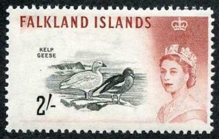 Falkland Is Sg204 2/ - Black And Lake - Brown Dlr Shoulder Flaw U/m