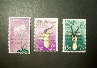 Somalia Independence 1960 Stamp Set Scott 242 C68 C69 Overprint Hcv Mnh