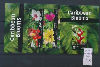 Gx02477 Nevis 2015 Plants Nature Flowers Sheets Mnh Cv 14 Eur