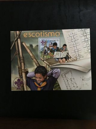 B33.  Guinea - Bissa,  Estotismo Boy Scout Souvenir Sheet.  2011.  Lashings