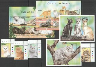 M253 1999 Zambia Fauna Cats Of The World 961 - 78 Michel 26 Euro 1set,  2bl,  2kb Mnh