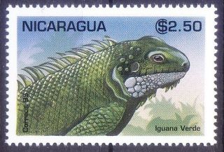 Iguana Verde,  Green Iguana,  Lizard,  Reptiles,  Nicaragua 1995 Mnh (q1)