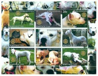 Dogo Argentino Dogs On Stamps - 9 Stamp Sheet 103 - 37