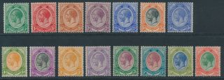 Sg 3/17 South Africa 1913 - 24 Set Of 15 ½d - £1.  Fine Fresh Mounted Cat