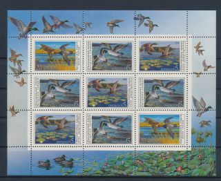 Lk55609 Russia Cccp Ducks Animals Fauna Birds Good Sheet Mnh