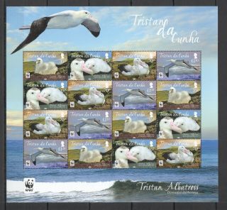 K1079 2013 Tristan Da Cunha Wwf Fauna Birds Tristan Albatross 1133 - 36 1sh Mnh