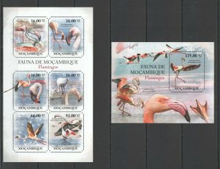 F1047 2011 Mozambique Fauna Of The Mozambique Birds Flamingo 1kb,  Bl Mnh