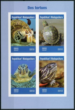 Madagascar 2019 Mnh Turtles Green Sea Turtle 4v Impf M/s Tortues Reptiles Stamps