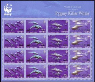 Tuvalu Wwf Pygmy Killer Whale Sheetlet Of 4 Sets With Specimen Overprint Mnh
