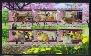 M935 Mnh 2017 Souvenir Sheet Of 6 Diff Cats Tonkinese Siamese Munchkin Bengal