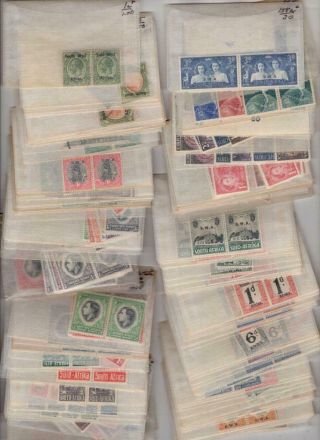South West Africa - Dealers Stock Of Stamps In Glassines -