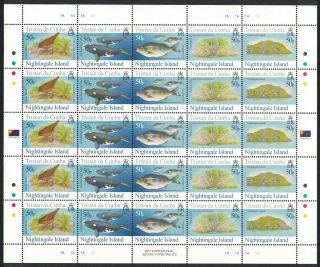 Tristan Da Cunha Thrush Bird Whales Fish Nightingale Island 4th Series Full