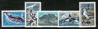 French Southern & Antarctic Territory Sc 25 - 28 Nh.  The Best Set Of Fsat.  Sc$488