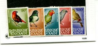 Togo Scott C36 - C40 5 Stamp Set Mnh Parrot 4771m