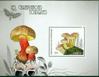 2017 Ms 2 Poisonous Mushrooms Fungi 400169