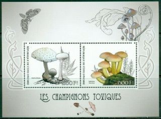 2017 Ms Poisonous Mushrooms 2 Values Fungi Butterflies 400167