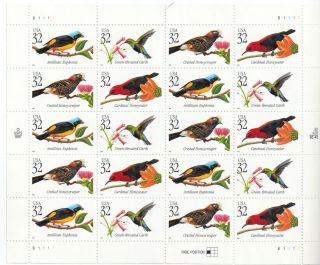 Scott 3222 - 25 Us Sheet Tropical Birds 32 Cent Mnh