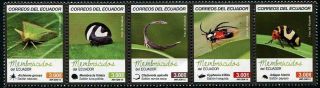 Herrickstamp Issues Ecuador Sc.  2145 Insects Strip Of 5 Different