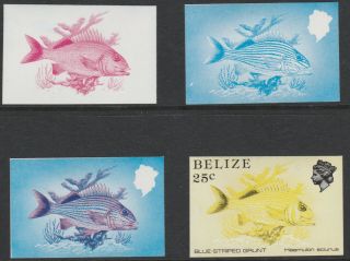 Belize (1742) - 1984 Marine Life 25c Progressive Proofs Unmounted