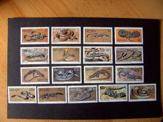 1986 Reptile Mnh Stamps From South Africa (venda)