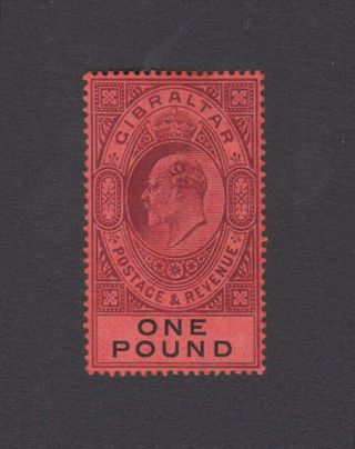 1904 Gibraltar Edvii £1 Stamp,  Fine Sg64,  Scarce