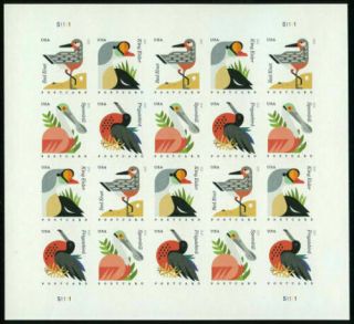 2015 35c Coastal Birds,  Postcard Forever,  Sheet Of 20 Scott 4991 - 94 Mnh Sa