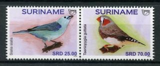 Suriname 2018 Mnh Upaep Pets Birds Finches 2v Set Stamps